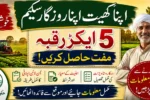 Apna Khet Apna Rozgar Scheme 2026 – Online Apply, Eligibility, Benefits & Complete Guide