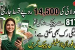 BISP 14,500 July 2026 Payment Started – Check Your 8171 CNIC Status Online
