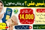 BISP Wallet Activation 2026 How to Get Your Free SIM and Receive Rs. 14,500 Payment